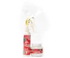 Plaukų priežiūros rinkinys Kallos Hair Pro-Tox Cannabis 200x275ml