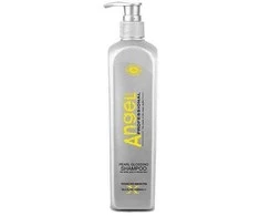 Angel Professional Šampūnas suteikiantis sidabrinį atspalvį plaukams Angel Pearl Glossing Šampūnas 500 ml