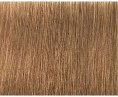 Schwarzkopf Igora Royal Absolutes ilgalaikio poveikio žilų plaukų dažai 60 ml - 8-50