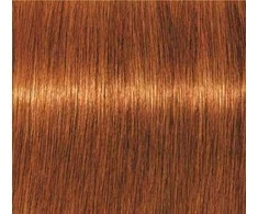 Schwarzkopf Igora Royal Absolutes ilgalaikio poveikio žilų plaukų dažai 60 ml - 7-70