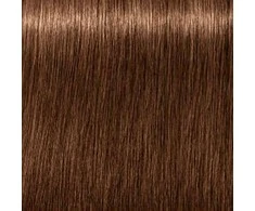 Schwarzkopf Igora Royal Absolutes ilgalaikio poveikio žilų plaukų dažai 60 ml - 6-60