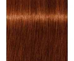 Schwarzkopf Igora Royal Absolutes ilgalaikio poveikio žilų plaukų dažai 60 ml - 6-70