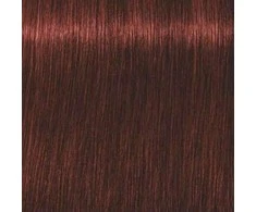 Schwarzkopf Igora Royal Absolutes ilgalaikio poveikio žilų plaukų dažai 60 ml - 5-80