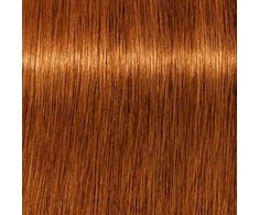 Schwarzkopf Igora Royal Absolutes ilgalaikio poveikio žilų plaukų dažai 60 ml - 7-70