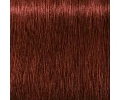 Schwarzkopf Igora Royal Absolutes ilgalaikio poveikio žilų plaukų dažai 60 ml - 6-80
