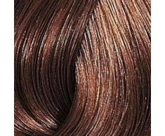 Wella Color Touch Plus plaukų dažai 60 ml - 66/04