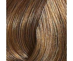 Wella Color Touch Plus plaukų dažai 60 ml - 77/07