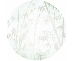 Apvalūs fototapetai - Azijos džiunglės