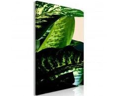 Artgeist Paveikslas - Dieffenbachia (1 Part) Vertical