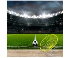 Fototapetai - Futbolo stadionas 200x140cm (PASKUTINIS)