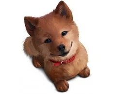 Deco detales Interjero lipdukas Akita Inu 50x70cm