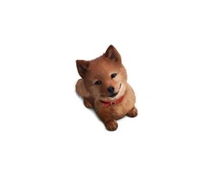Deco detales Interjero lipdukas Akita Inu 50x70cm