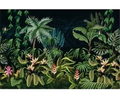 Fototapetai - Atogrąžų flora