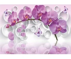 Fototapetai - Drugelių orchidėja