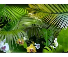 Fototapetai - Džiunglių orchidėjos