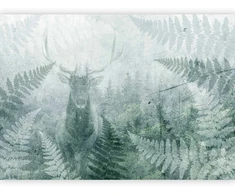 Fototapetai - Elnias tarp paparčių trečias variantas