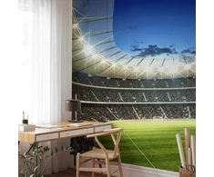 Fototapetai - Futbolo aikštė apšviestas stadionas su pilnomis tribūnomis