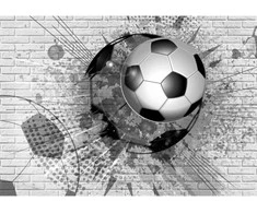 Fototapetai – Futbolo energija