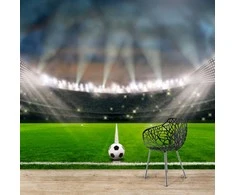 Fototapetai - Futbolo stadionas