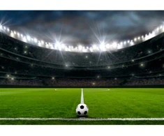 Fototapetai - Futbolo stadionas