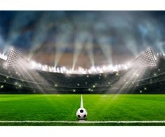Fototapetai - Futbolo stadionas