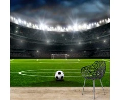 Fototapetai - Futbolo stadionas II