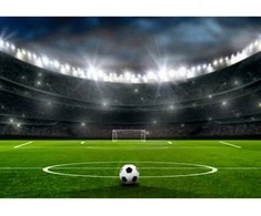Fototapetai - Futbolo stadionas II