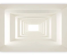 Fototapetai - Į šviesą