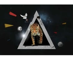Fototapetai - Leopardo pasaulis
