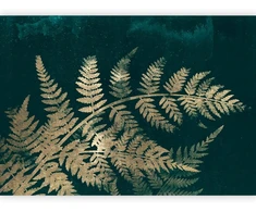 Fototapetai - Magiška naktis antras variantas