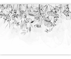 Fototapetai - Miglota gamta pilka