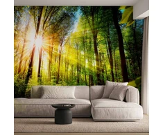 Fototapetai - Miško slėptuvė