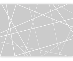 Fototapetai - Modernus voratinklis