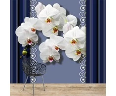 Fototapetai - Orchidėjos mėlyname fone