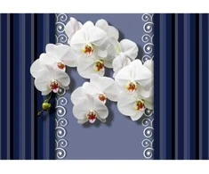 Fototapetai - Orchidėjos mėlyname fone