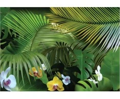 Fototapetai - Orchidėjos miške