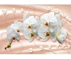 Fototapetai - Orchidėjos pasteliniame fone
