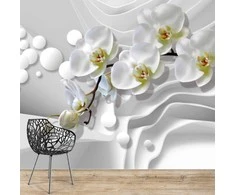 Fototapetai - Orchidėjų švelnumas