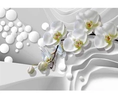 Fototapetai - Orchidėjų švelnumas