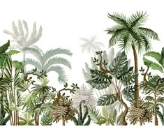 Fototapetai - Palmės baltame fone