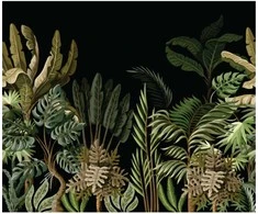 Fototapetai - Palmės juodame fone