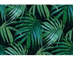 Fototapetai - Palmės lapai