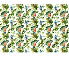 Fototapetai - Papūgos