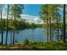 Fototapetai - Ramus kraštovaizdžio vaizdas