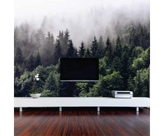 Fototapetai - Rūkas miške