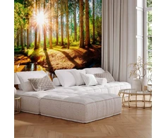 Fototapetai - Stebuklingas miškas