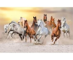 Fototapetai - Šuoliuojantys žirgai saulėlydyje