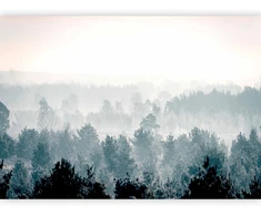 Fototapetai - Žiemos miškas