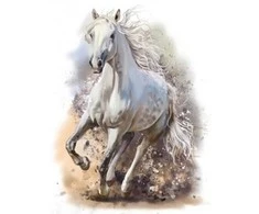 Interjero lipdukas Baltas žirgas 50x66cm
