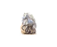 Interjero lipdukas Baltas žirgas 50x66cm